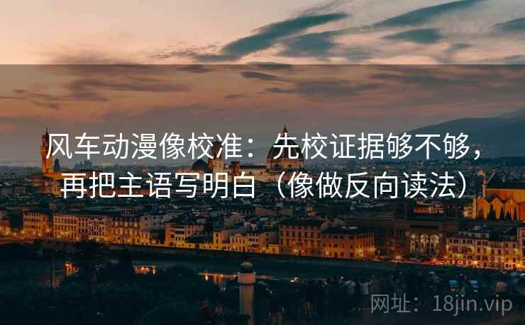 风车动漫像校准：先校证据够不够，再把主语写明白（像做反向读法）  第2张